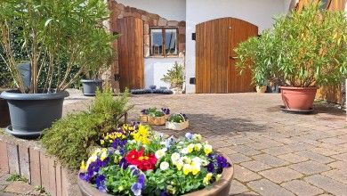 Landgasthof & Pension - Zur schönen Aussicht