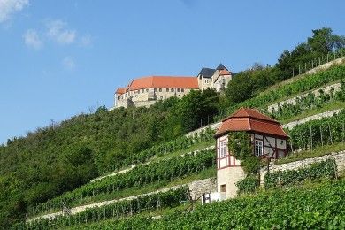 Schloss Neuenbürg