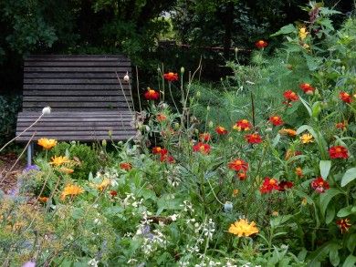 Ökologisch wohnen im Ferienhaus Hinz 