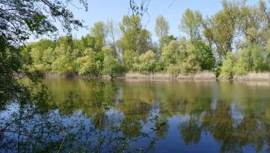 Ferienwohnung Rück - Hochstadt - südliche Weinstraße