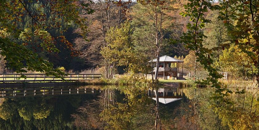 Ferienwohnung Bergstraße - Dahner Felsenland