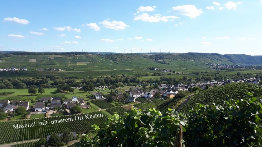 Gästehaus Paul Barthen - Ferienwohnung und Gästezimmer