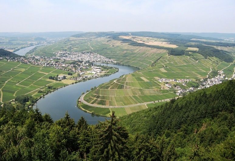 Classisches Weingut Hoffranzen mit Gästezimmern