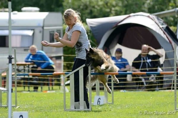 Ferienwohnung Grefensteiner Hof