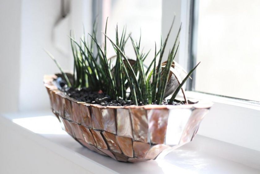 5*****Ferienwohnungen  Ries