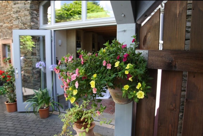 Wein und Ferienhaus Koch