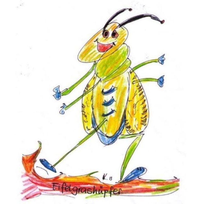 Ferienwohnung Eifelgrashüpfer