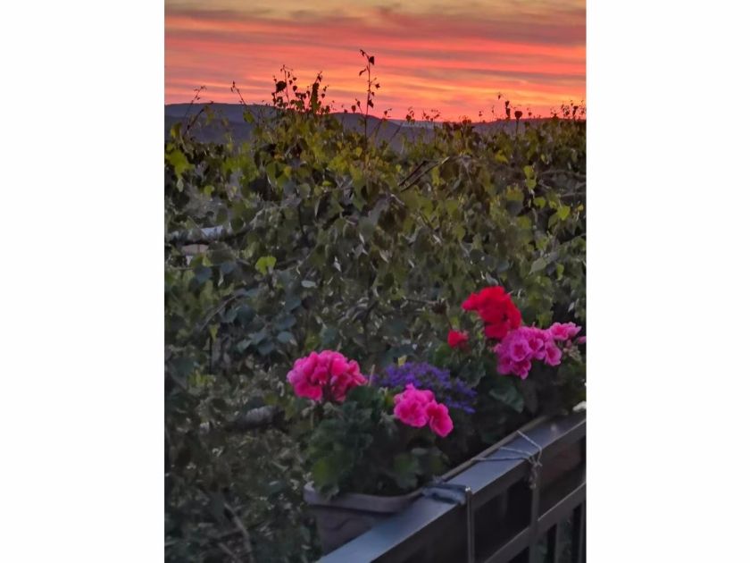 Evas Moselblick - Ferienwohnung 2