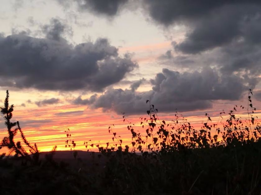 Evas Moselblick - Ferienwohnung 2
