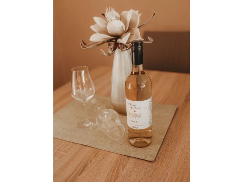 Evas Moselblick - Ferienwohnung 2