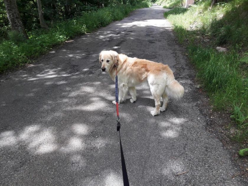 Ferienwohnung Haus Maria