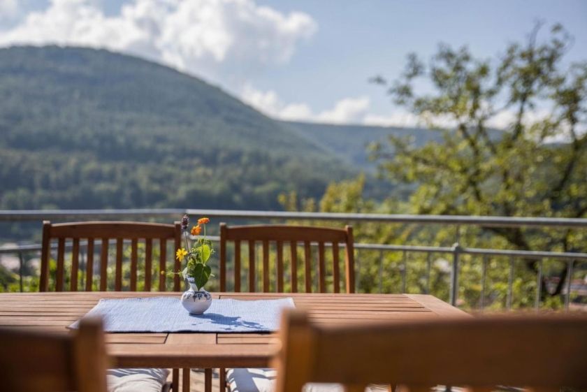 Ferienwohnung Am Samuelstein