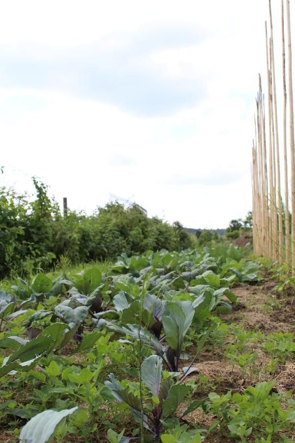 Ferienhaus Landhaus Almyssen