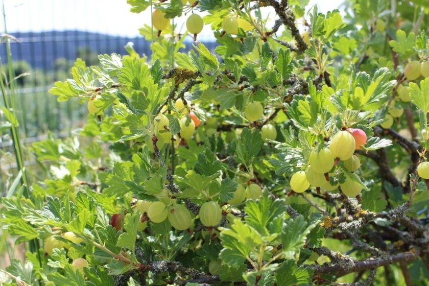 Ferienhaus Landhaus Almyssen