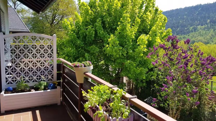 Große Wohnung mit Balkon Sulzbergblick