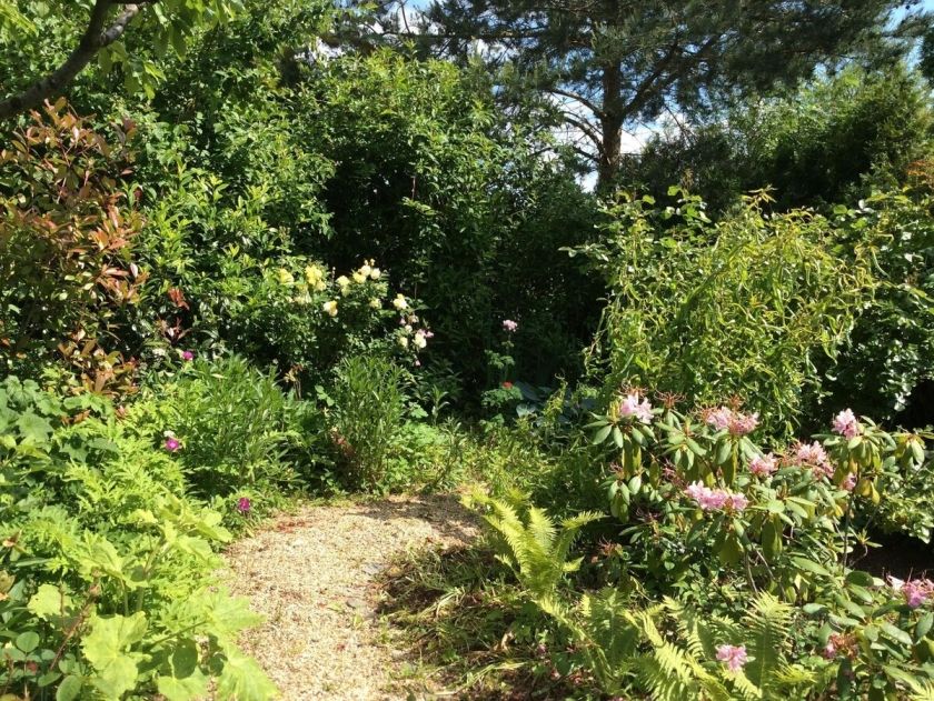 Im Garten flanieren...