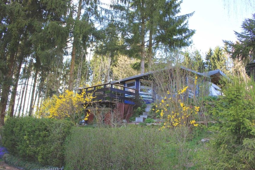 Hammerschmiedesee – Campingplatz und Teichgut