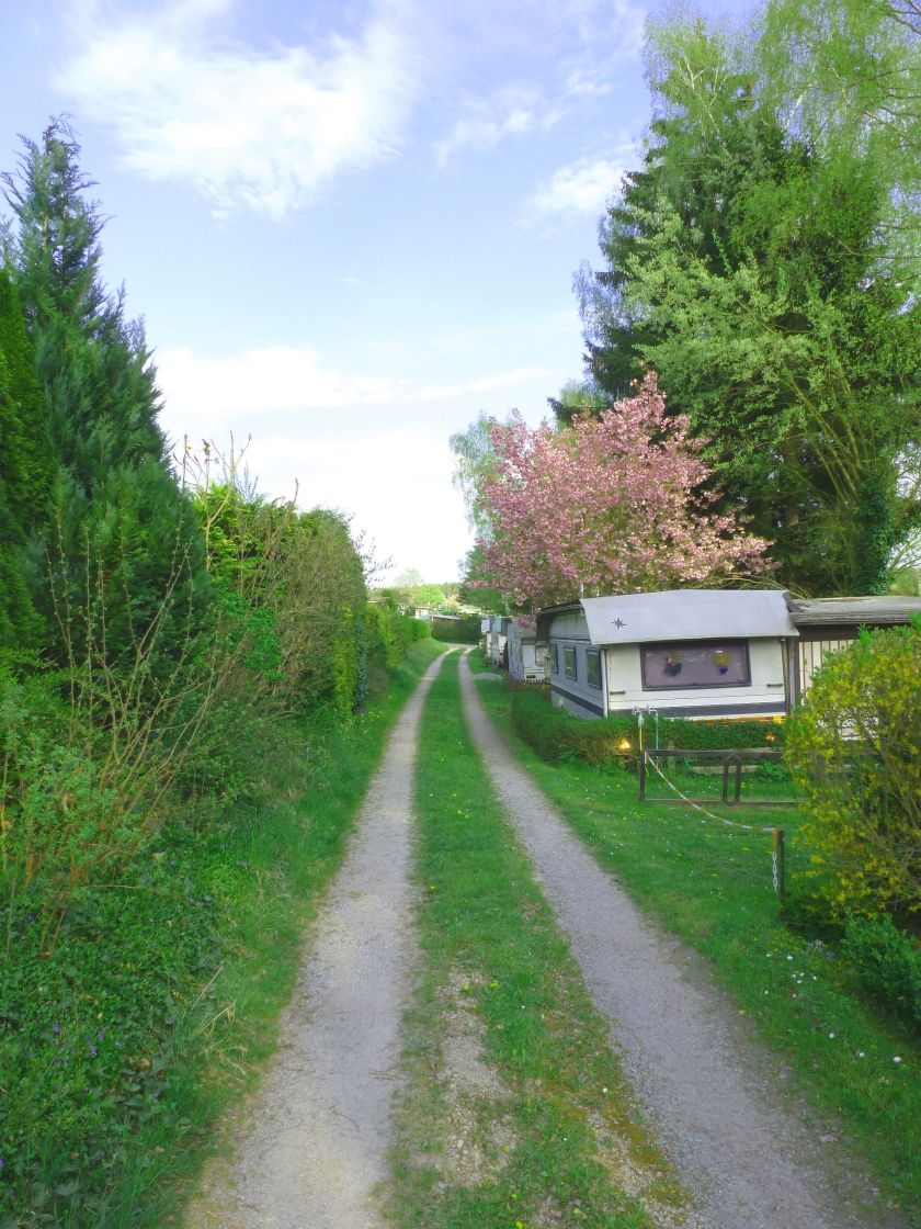 Hammerschmiedesee – Campingplatz und Teichgut