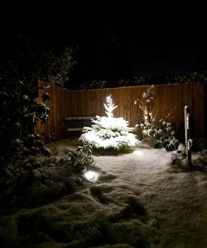  Ferienhaus Wibbecke Westerwald