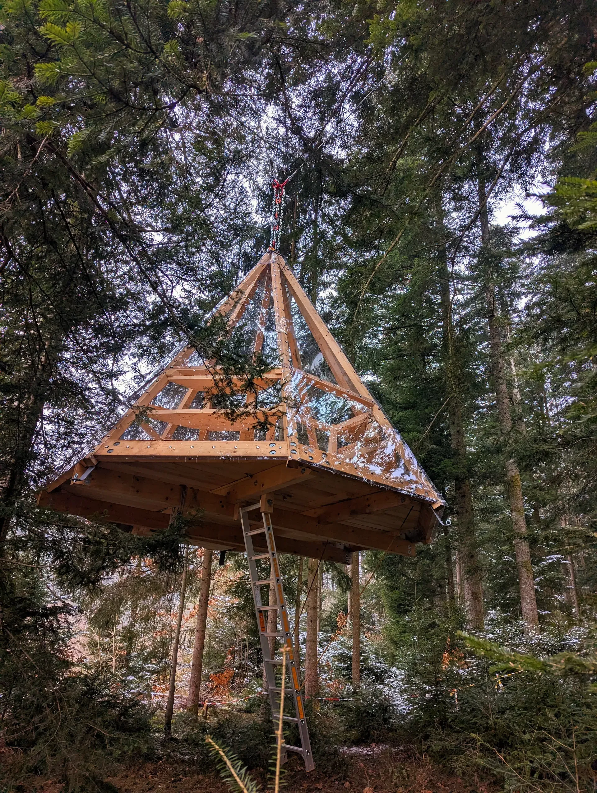 Baumhaus Hallwangen Barfußpark