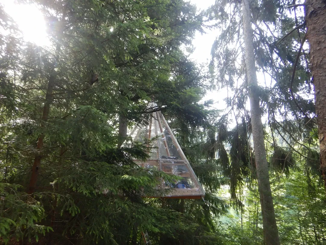 Baumhaus Erzgrube Seeblick