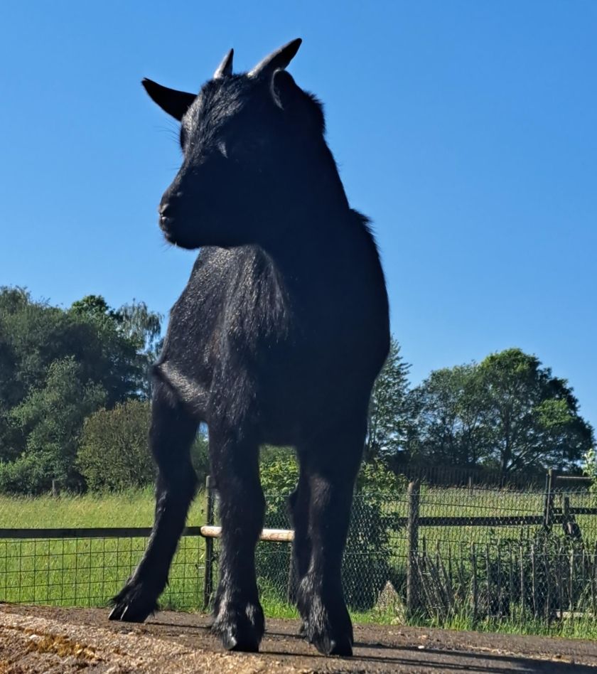  Ferienhaus Wibbecke Westerwald