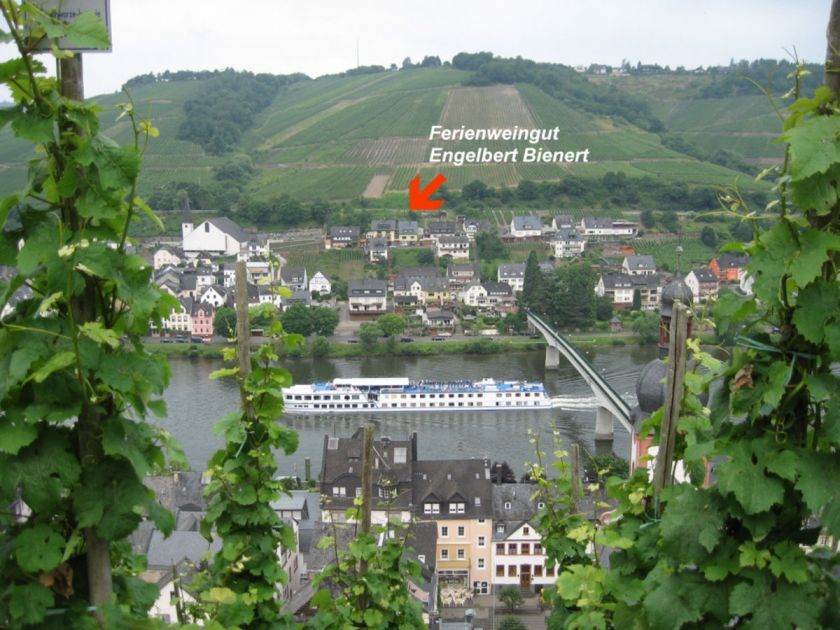 Blick von der gegenüberliegenden Moselseite