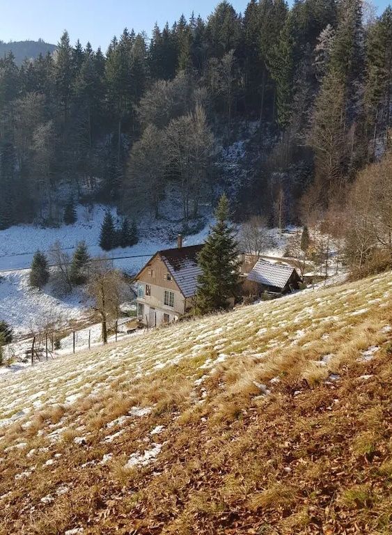 Ferienwohnung Sommerbergparadies