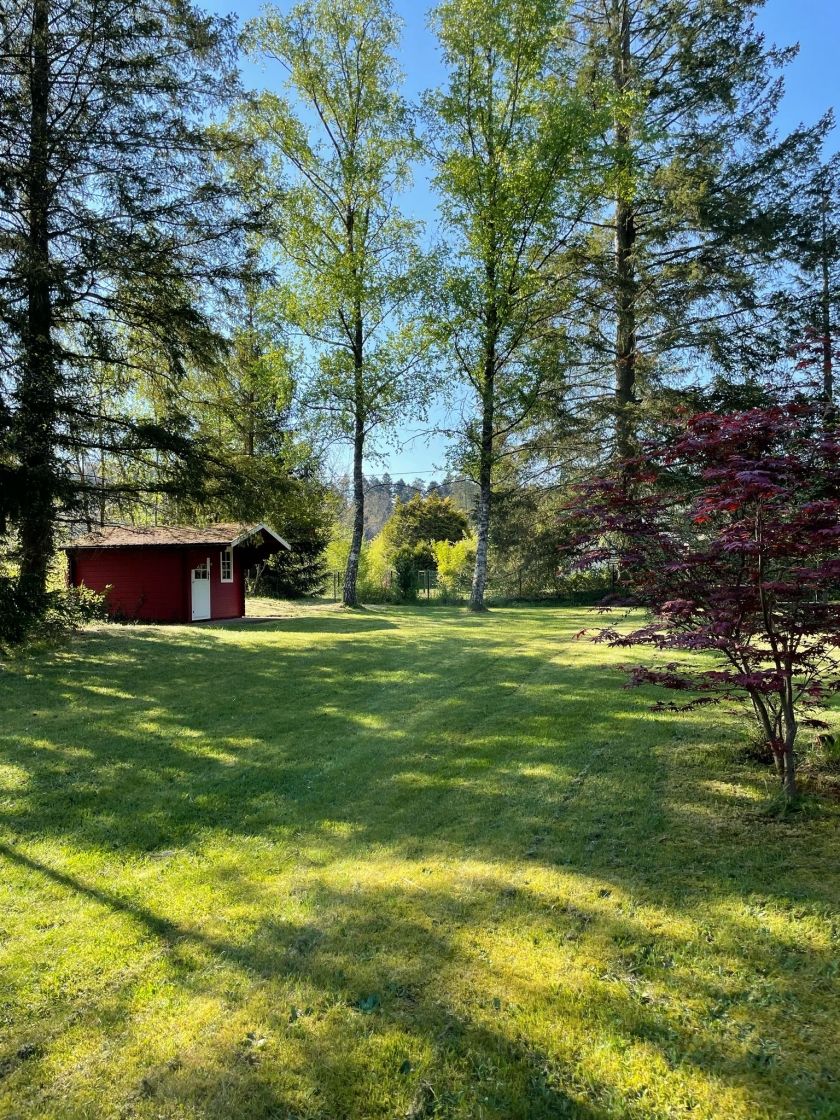 Blick in den Garten 21a