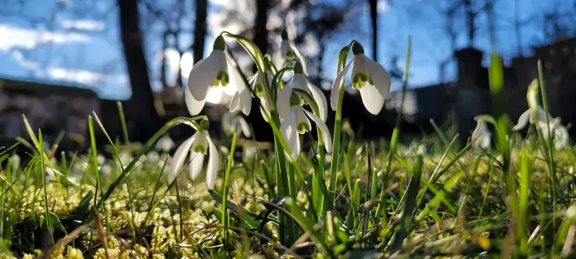 Ferienwohnung an der Weinstraße Gleisweiler