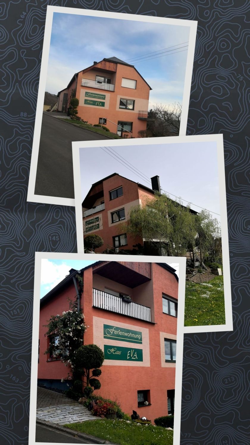 Evas Moselblick - Ferienwohnung 1