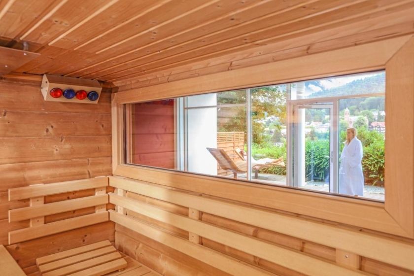 SCHWARZWALD PANORAMA