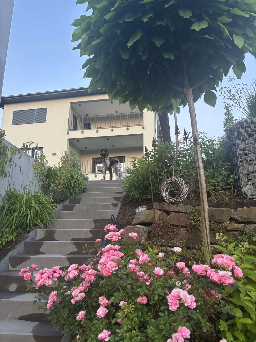 FeWo Familie Pflüger