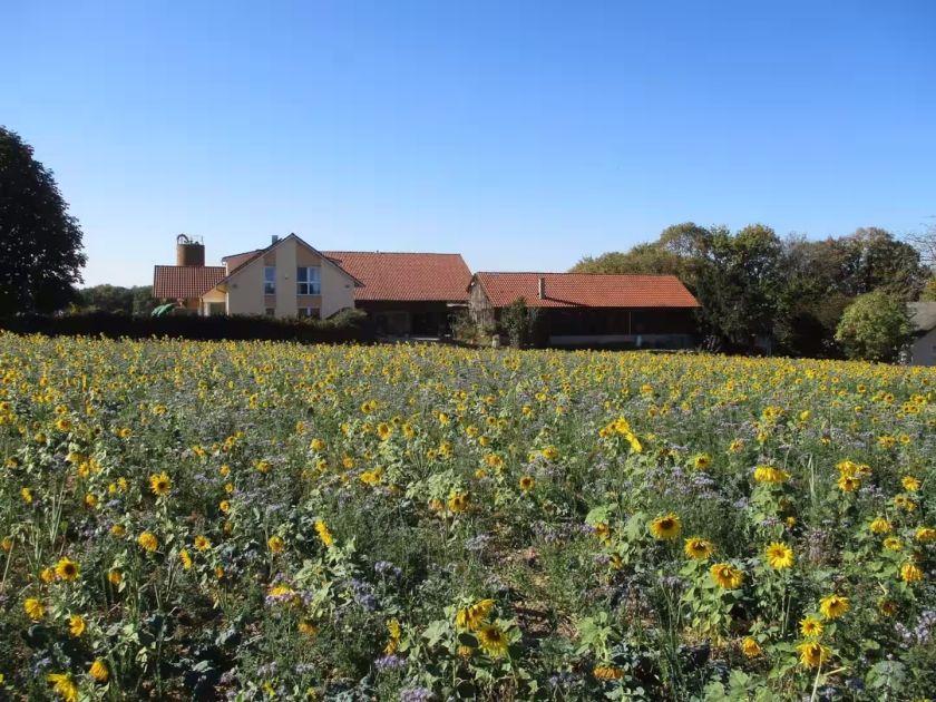Ferienhof Obertor Kälberstall