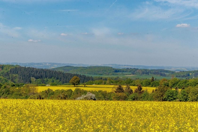 Landhaus SoonZauber - Charmantes Ferienhaus mit moderner Ausstattung