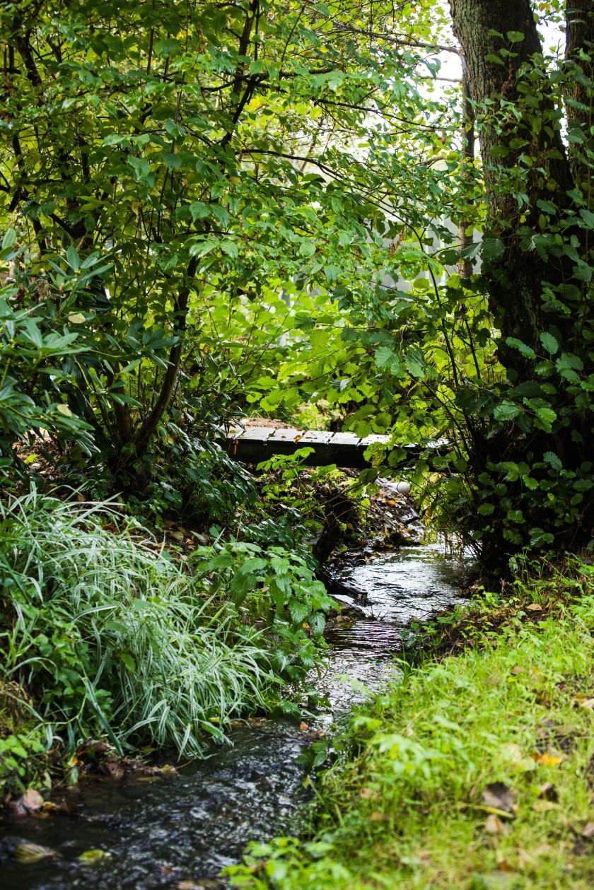 Landhaus SoonZauber - Charmantes Ferienhaus mit moderner Ausstattung