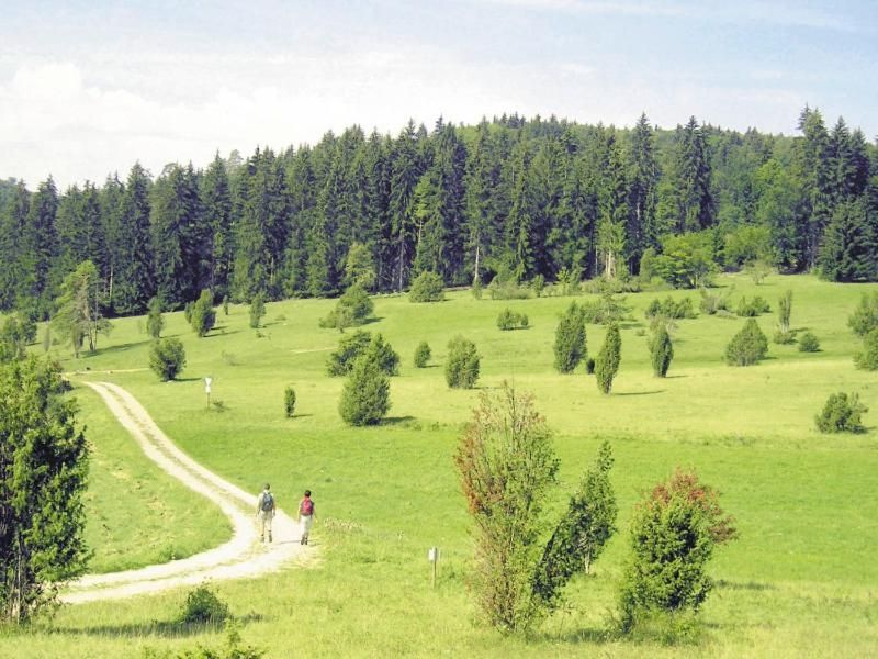 Ferienwohnung Oettinger