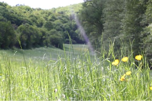 Hotel & Restaurant Reckweilerhof