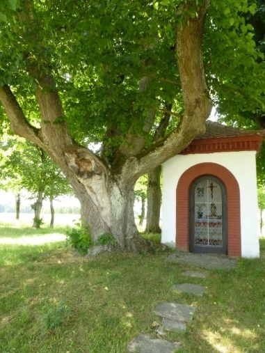 Ferienwohnung Raunecker