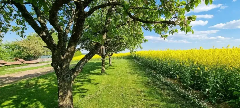 Ferienhaus Kurt - Kurt’s Heisje