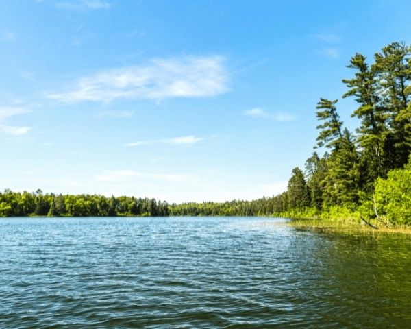 Ferienwohnung Rothenbusch