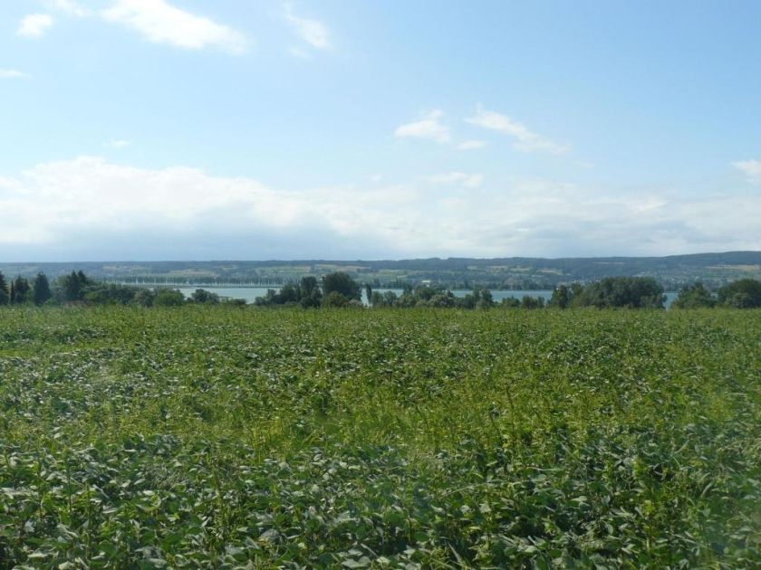 Ferienwohnung Naturhaus