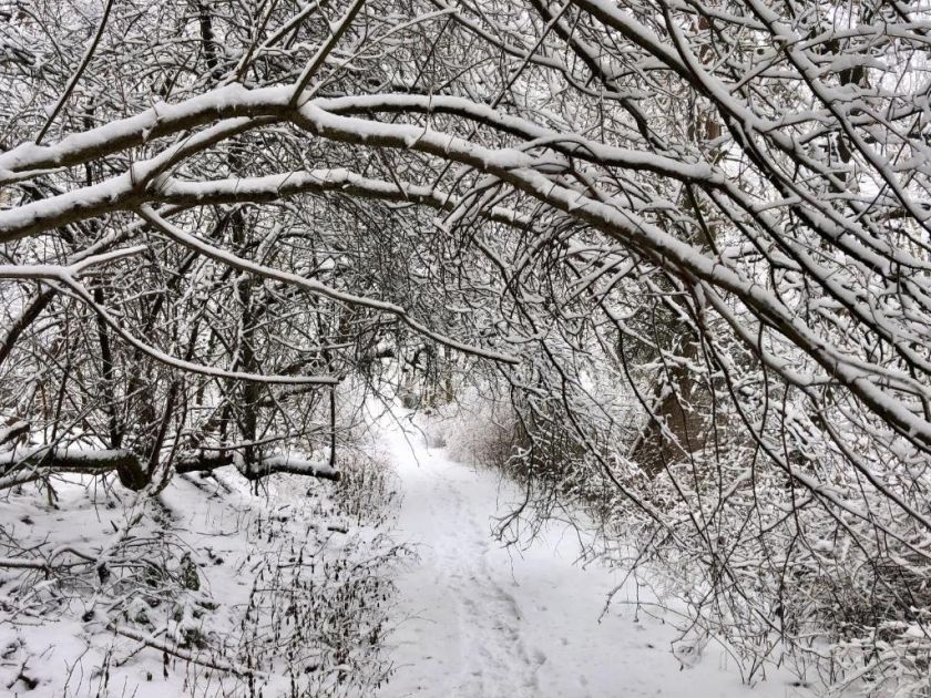 Ferienwohnung Rabenlay