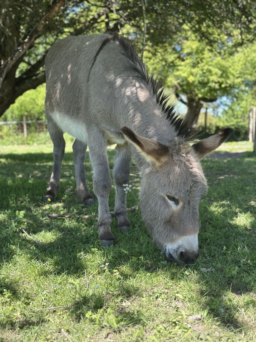 Ferienhaus Op dem Bersch 