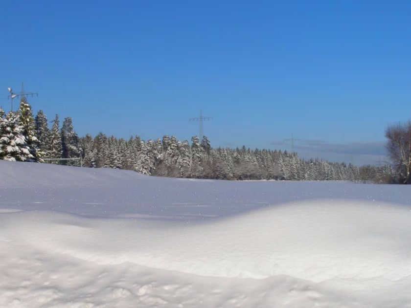 Ferienhaus Trollblume