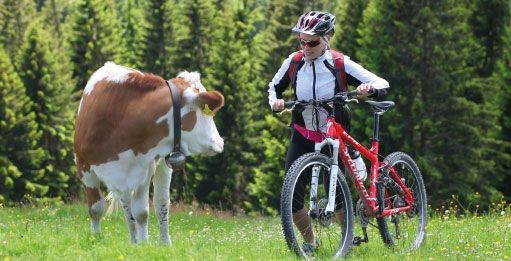 Gasthof zum Löwen Enzklösterle