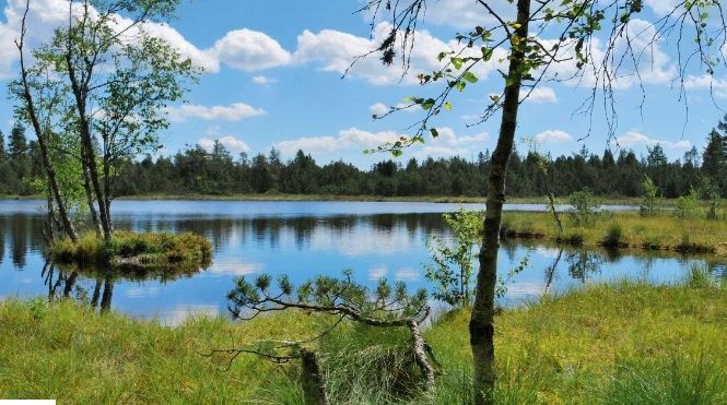 Gasthof zum Löwen Enzklösterle