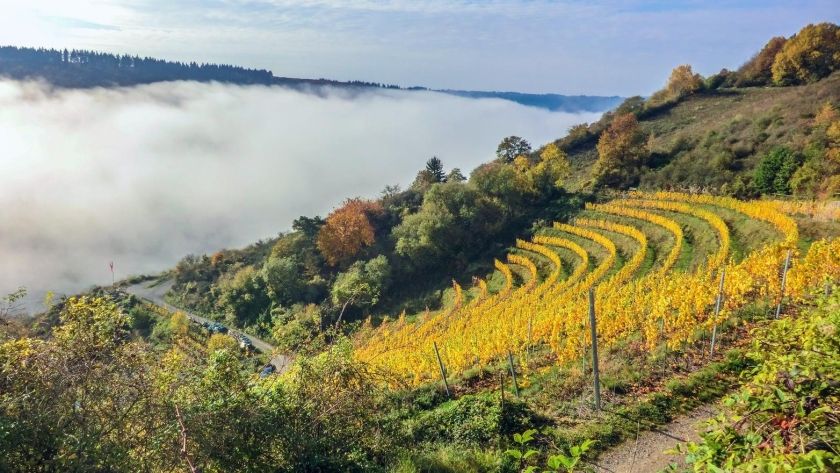Ferienwohnung Zum Moselsteig