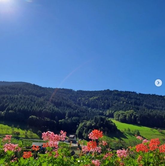 Pension Bäuerle Hof