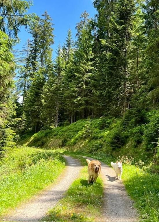 Ferienwohnung Tannenduft